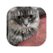 ヒメ日記 2026/03/21 13:53 投稿 えま ミセスサマンサ