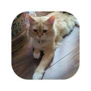 ヒメ日記 2026/03/28 18:31 投稿 えま ミセスサマンサ