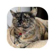 ヒメ日記 2026/04/02 17:46 投稿 えま ミセスサマンサ