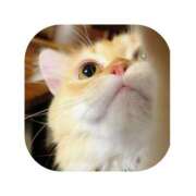 ヒメ日記 2026/04/08 13:14 投稿 えま ミセスサマンサ