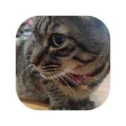 ヒメ日記 2026/04/09 03:49 投稿 えま ミセスサマンサ