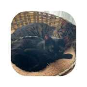 えま こんにちは(*^^*) ミセスサマンサ