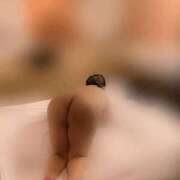 ヒメ日記 2025/11/10 02:52 投稿 れいら ミセスサマンサ