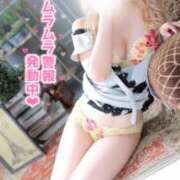 ヒメ日記 2025/11/22 19:10 投稿 のえる サマンサ 堺店