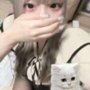 ヒメ日記 2025/09/11 22:52 投稿 るい メンヘラ専門デリヘル ゼロワン 横浜本店