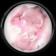 ヒメ日記 2026/01/17 00:30 投稿 れいら サマンサ 堺店