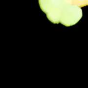 ヒメ日記 2026/03/08 18:20 投稿 れいら サマンサ 堺店