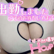 ヒメ日記 2025/11/15 19:58 投稿 ねね サマンサ 堺店