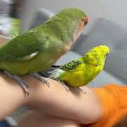 ヒメ日記 2025/09/30 11:40 投稿 えりか サマンサ 堺店