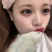 ヒメ日記 2025/10/08 23:02 投稿 えりか サマンサ 堺店