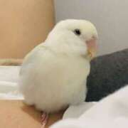 ヒメ日記 2025/10/09 09:00 投稿 えりか サマンサ 堺店