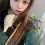 ヒメ日記 2025/11/16 20:00 投稿 えりか サマンサ 堺店