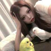 ヒメ日記 2025/11/18 04:40 投稿 えりか サマンサ 堺店