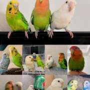 ヒメ日記 2025/12/08 14:20 投稿 えりか サマンサ 堺店