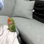 ヒメ日記 2025/12/14 20:42 投稿 えりか サマンサ 堺店