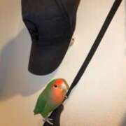 ヒメ日記 2026/02/17 11:35 投稿 えりか サマンサ 堺店