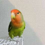 ヒメ日記 2026/02/22 21:50 投稿 えりか サマンサ 堺店