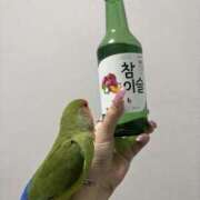 ヒメ日記 2026/03/21 18:50 投稿 えりか サマンサ 堺店