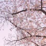 ヒメ日記 2026/04/06 10:33 投稿 えりか サマンサ 堺店