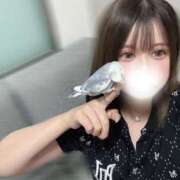ヒメ日記 2026/07/26 16:00 投稿 えりか サマンサ 堺店