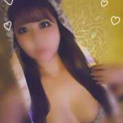 ヒメ日記 2026/04/13 19:11 投稿 なほ サマンサ 堺店