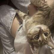 ヒメ日記 2025/08/07 11:56 投稿 にこる サマンサ 堺店