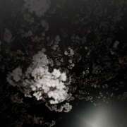 ヒメ日記 2026/04/04 19:14 投稿 ましろ サマンサ 堺店