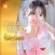 さな♡文句なしの高級バニー♡ 初出勤🩷🐇 ドMなバニーちゃん 柴田店