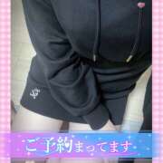 ヒメ日記 2025/08/19 15:57 投稿 れい サマンサ 堺店