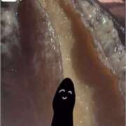 ほたて（極上SPコース対応） 🔞アハ体験🎥 LIGHT（ライト）～光が導く無限の可能性～