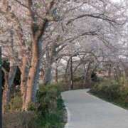 ヒメ日記 2026/04/04 14:41 投稿 はるひ 茨城神栖ちゃんこ