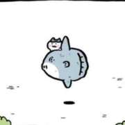 ヒメ日記 2025/12/17 02:17 投稿 あかね ZERO