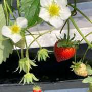 ヒメ日記 2025/10/13 07:33 投稿 体験きょうか☆業界未経験 セレブ パラダイス