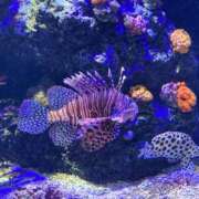 ヒメ日記 2025/10/15 22:06 投稿 体験きょうか☆業界未経験 セレブ パラダイス