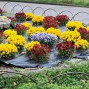 ヒメ日記 2025/10/16 22:18 投稿 体験きょうか☆業界未経験 セレブ パラダイス