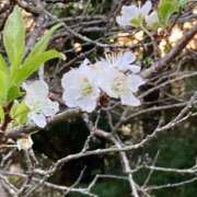 ヒメ日記 2025/10/18 12:51 投稿 体験きょうか☆業界未経験 セレブ パラダイス