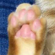 ヒメ日記 2025/10/28 13:03 投稿 体験きょうか☆業界未経験 セレブ パラダイス