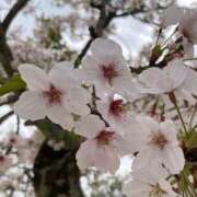 ヒメ日記 2025/10/28 22:33 投稿 体験きょうか☆業界未経験 セレブ パラダイス