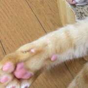 ヒメ日記 2025/11/03 18:48 投稿 体験きょうか☆業界未経験 セレブ パラダイス