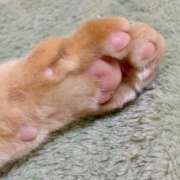 ヒメ日記 2025/11/26 08:27 投稿 体験きょうか☆業界未経験 セレブ パラダイス