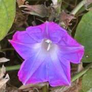 ヒメ日記 2026/02/17 22:33 投稿 体験きょうか☆業界未経験 セレブ パラダイス