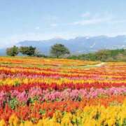 ヒメ日記 2025/07/30 10:19 投稿 西野 はな ホットアロマ