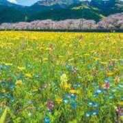 ヒメ日記 2025/08/05 16:10 投稿 西野 はな ホットアロマ