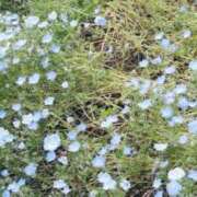 ヒメ日記 2026/05/08 11:52 投稿 西野 はな ホットアロマ