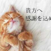 ヒメ日記 2025/11/21 02:31 投稿 【SP】あず ミセスサマンサ