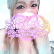 ヒメ日記 2025/08/05 14:27 投稿 ゆきの ミセスサマンサ