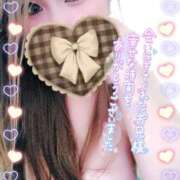 ヒメ日記 2025/08/19 01:41 投稿 ゆきの ミセスサマンサ