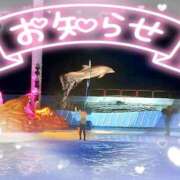 ヒメ日記 2025/08/27 17:51 投稿 ゆきの ミセスサマンサ