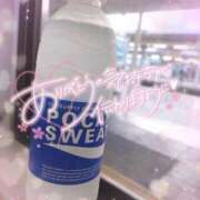 ヒメ日記 2025/08/29 17:04 投稿 ゆきの ミセスサマンサ