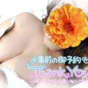 ヒメ日記 2025/09/01 17:11 投稿 ゆきの ミセスサマンサ